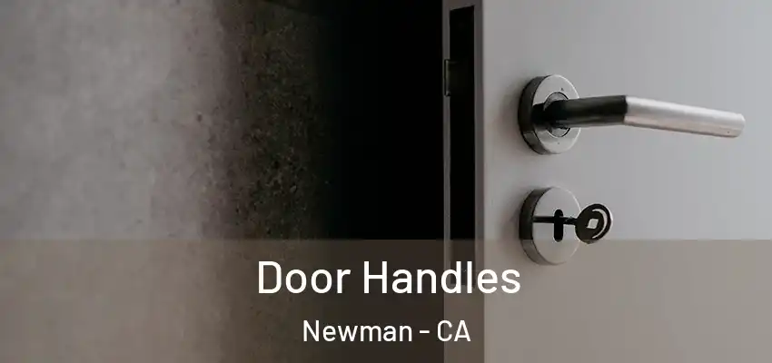  Door Handles Newman - CA