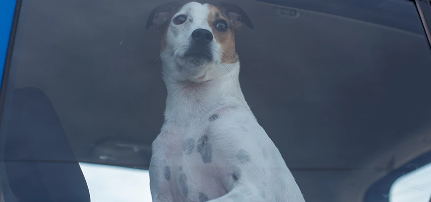 Car Lockout Solutions in Newman, California