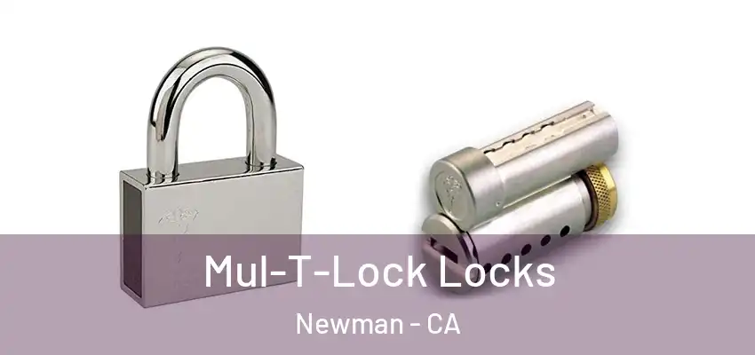  Mul-T-Lock Locks Newman - CA